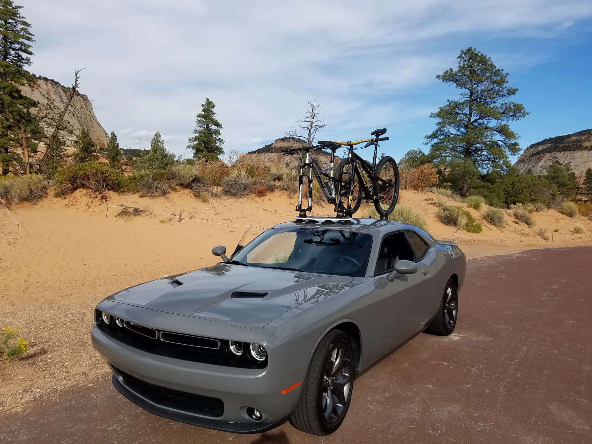 SeaSucker Roof Mounted Bike Racks