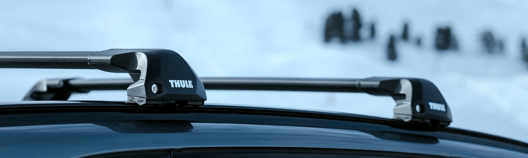 Thule Crossbar Roof Racks