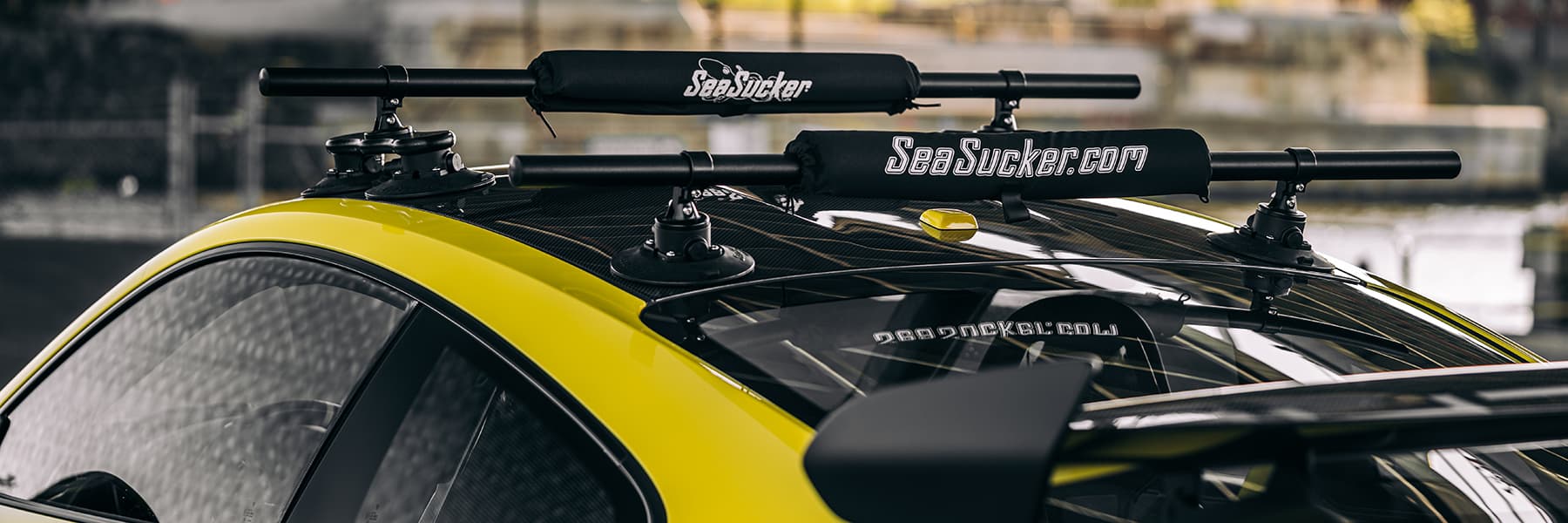 SeaSucker Bare Roof Car Racks