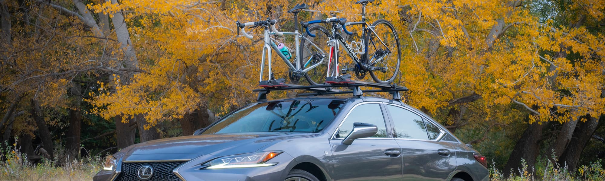 Bare Roof Car Racks