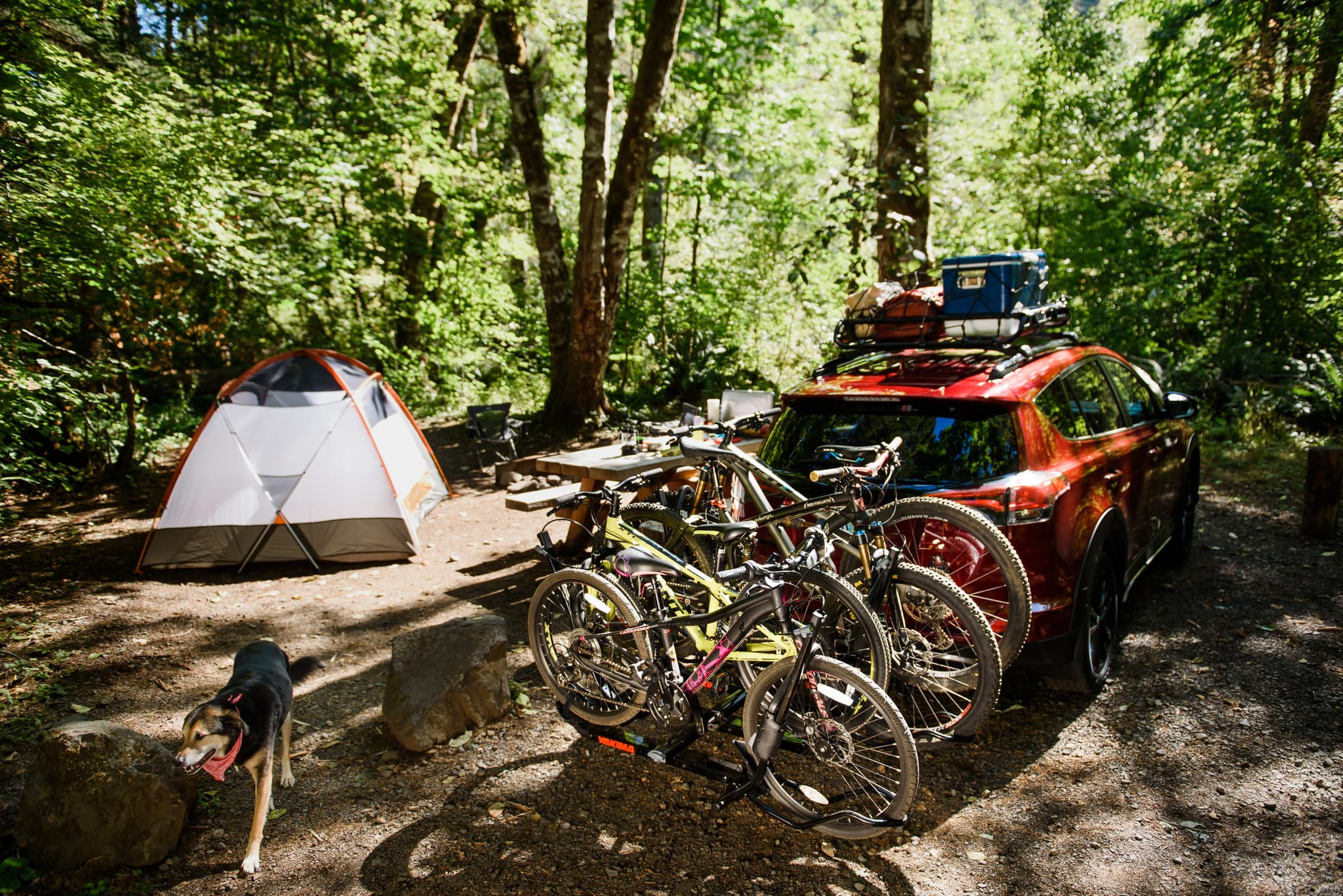 Is a Platform Hitch Rack Worth the Extra Money?